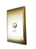 Picture of A102(GOLDEN 2LEVER SWITCH)/1*120