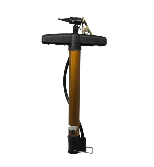 Picture of BS-0159 30CM PUMP/1*100