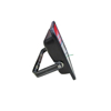 Picture of LPFL30A 30W LED FLOOD LIGHT RED/1*30