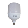 Picture of 50W B22 RED LED BULB/1*24