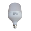 Picture of 50W B22 RED LED BULB/1*24
