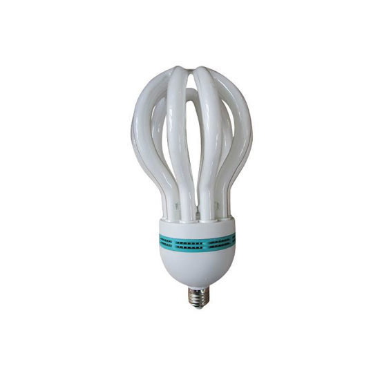 Picture of 105W(F)B22energy saver/1*12