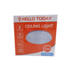 Picture of CE112 24W CEILING LIGHT HD-CLB24W/1*10